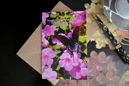 Psalm 119 Butterfly on Impatiens 