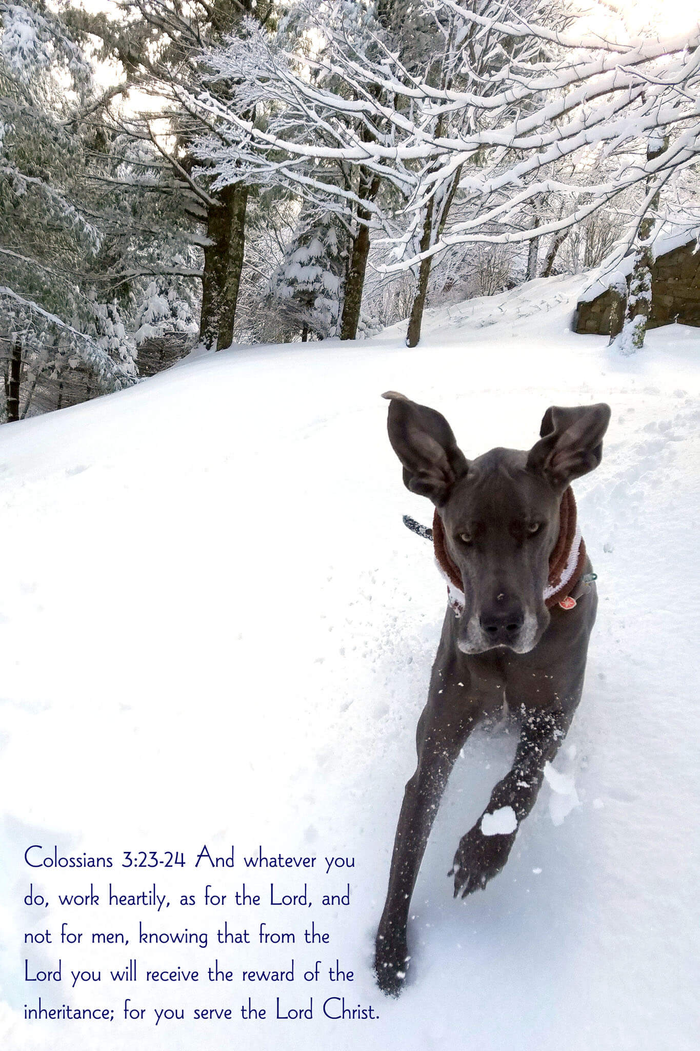 Colossians 3:23-24 Puddles