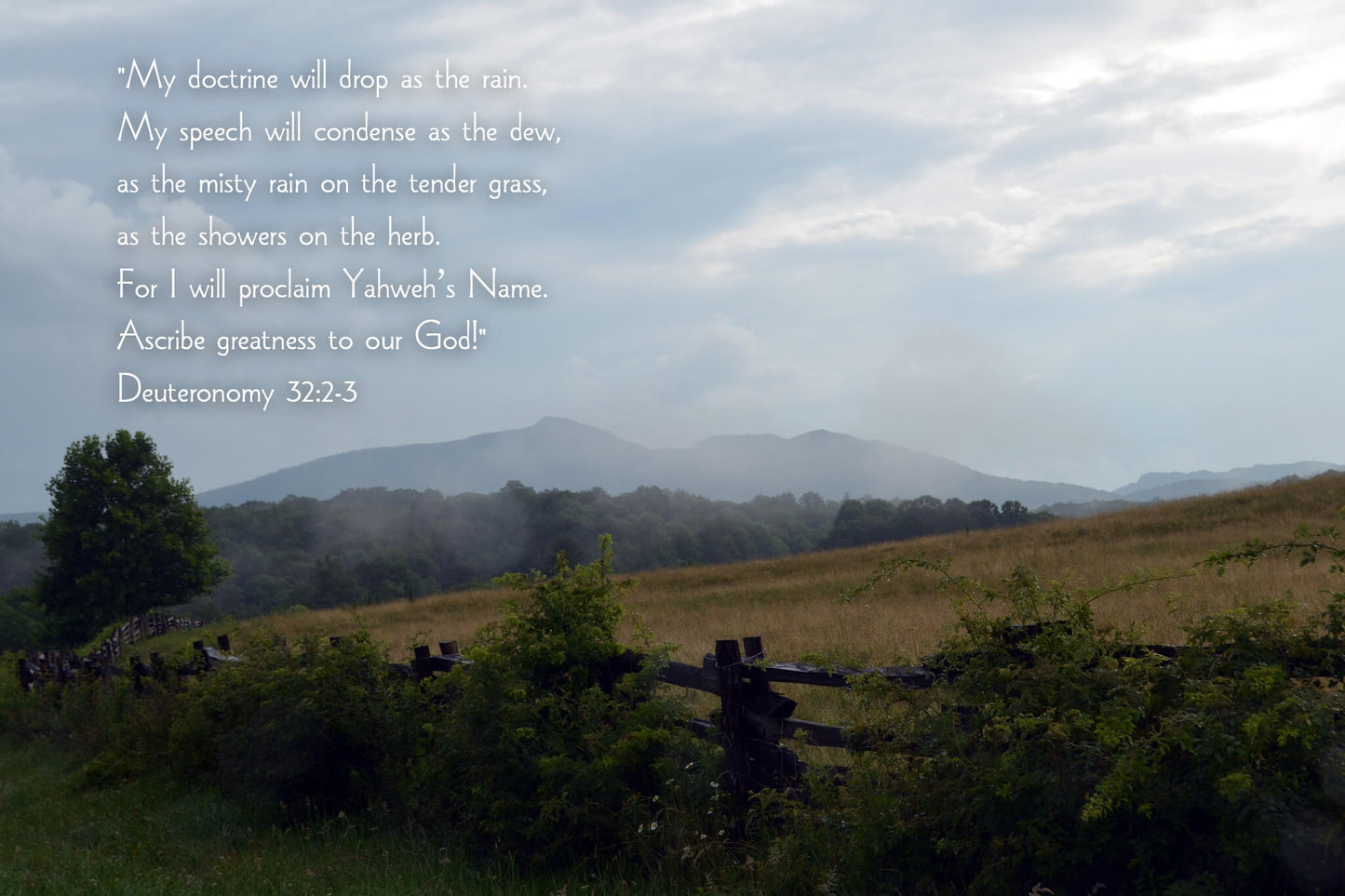 Deuteronomy 32:2-3 Misty Parkway Christian greeting card