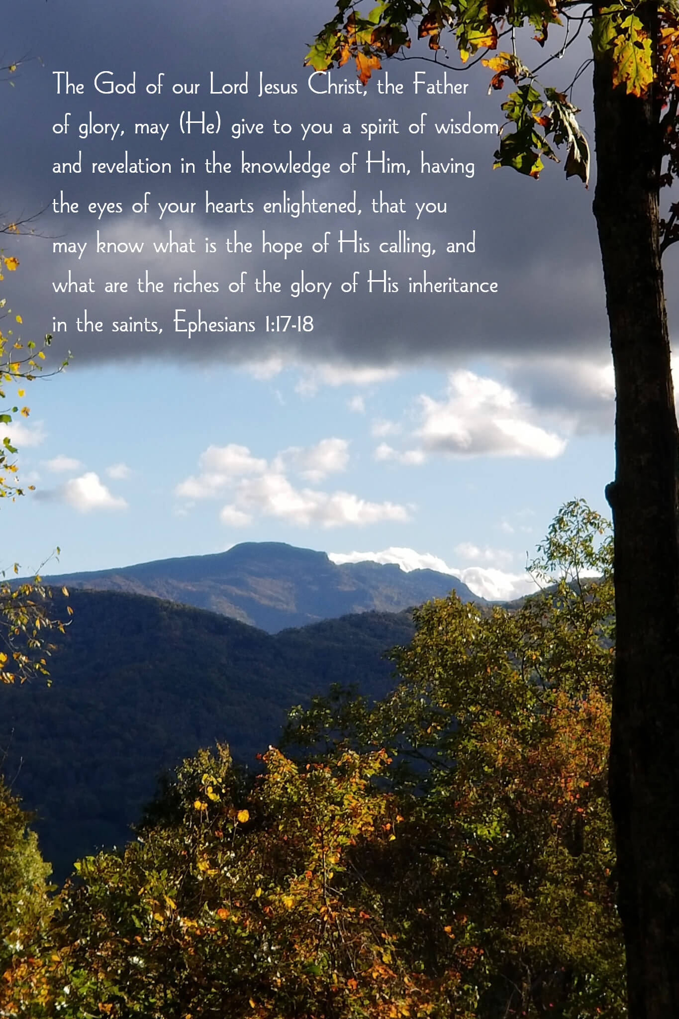 Ephesians 1:17-18 Wise Old Grandfather