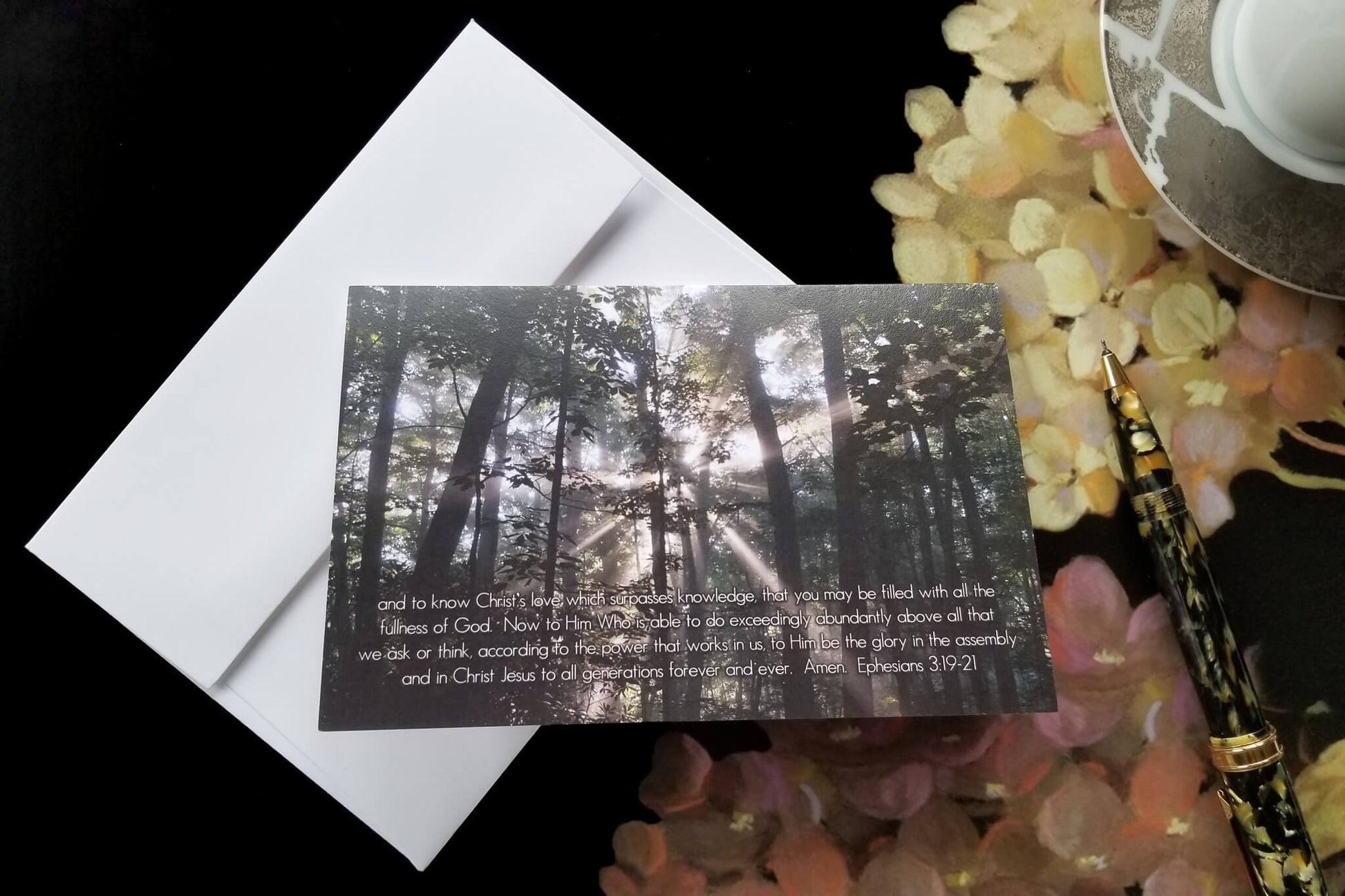 Ephesians 3:19-21 Sunbeam through Forest FW Christian greeting card