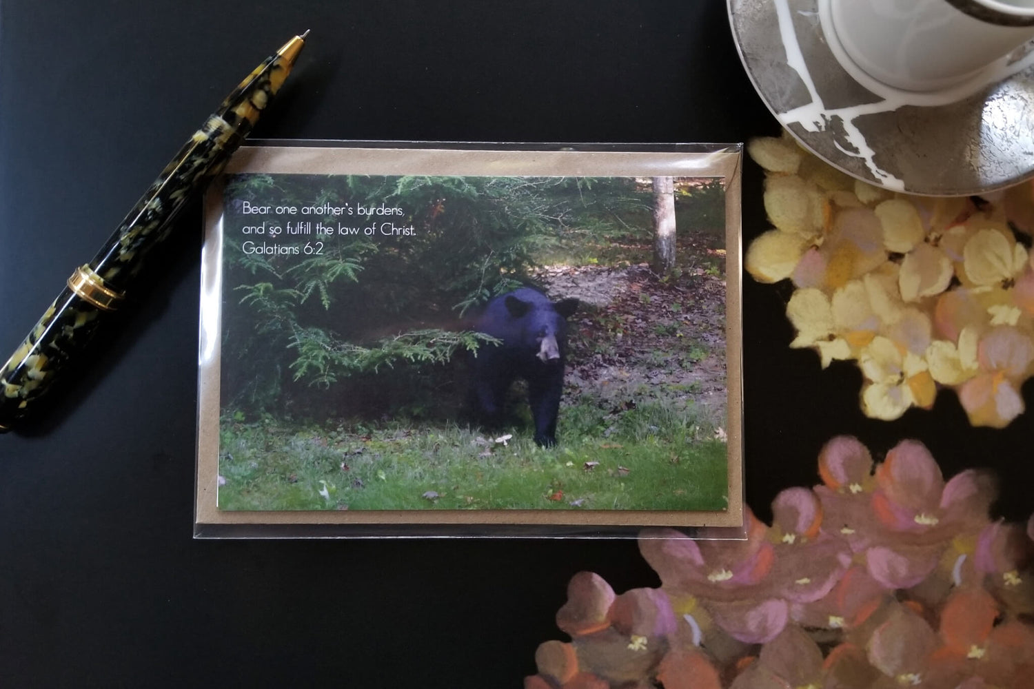 Galatians 6 Black Bear eco Christian greeting card