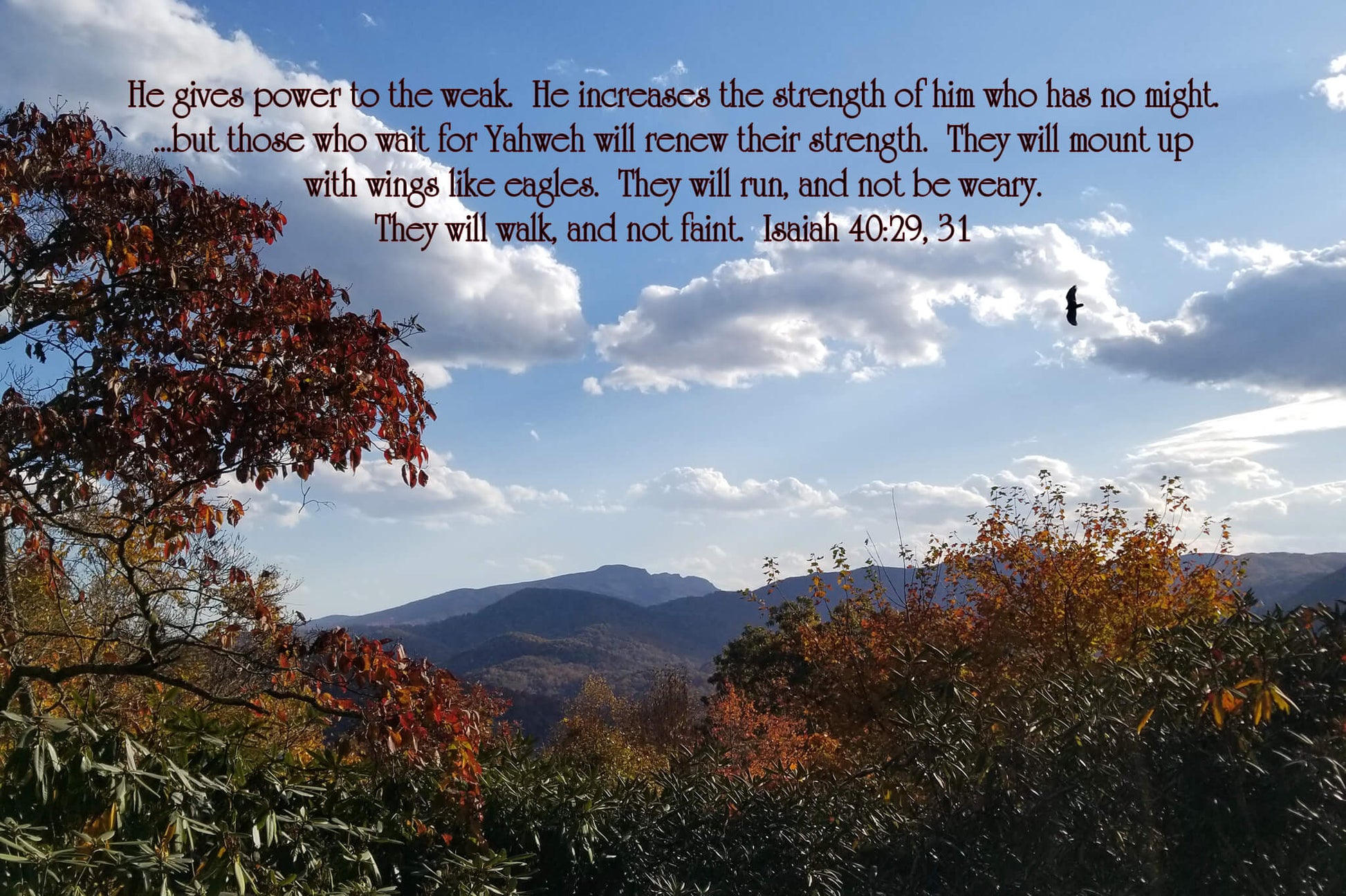 Isaiah 40:29, 31 Fall Flight Over Grandfather Christian greeting card