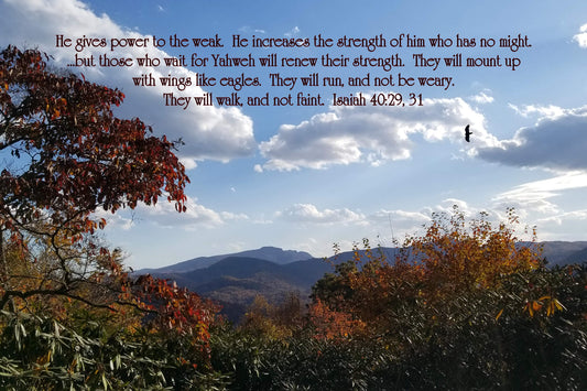 Isaiah 40:29, 31 Fall Flight Over Grandfather Christian greeting card
