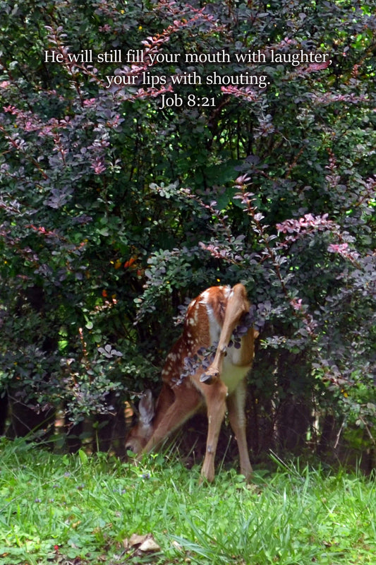 Job 8:21 Determined Fawn Christian greeting card