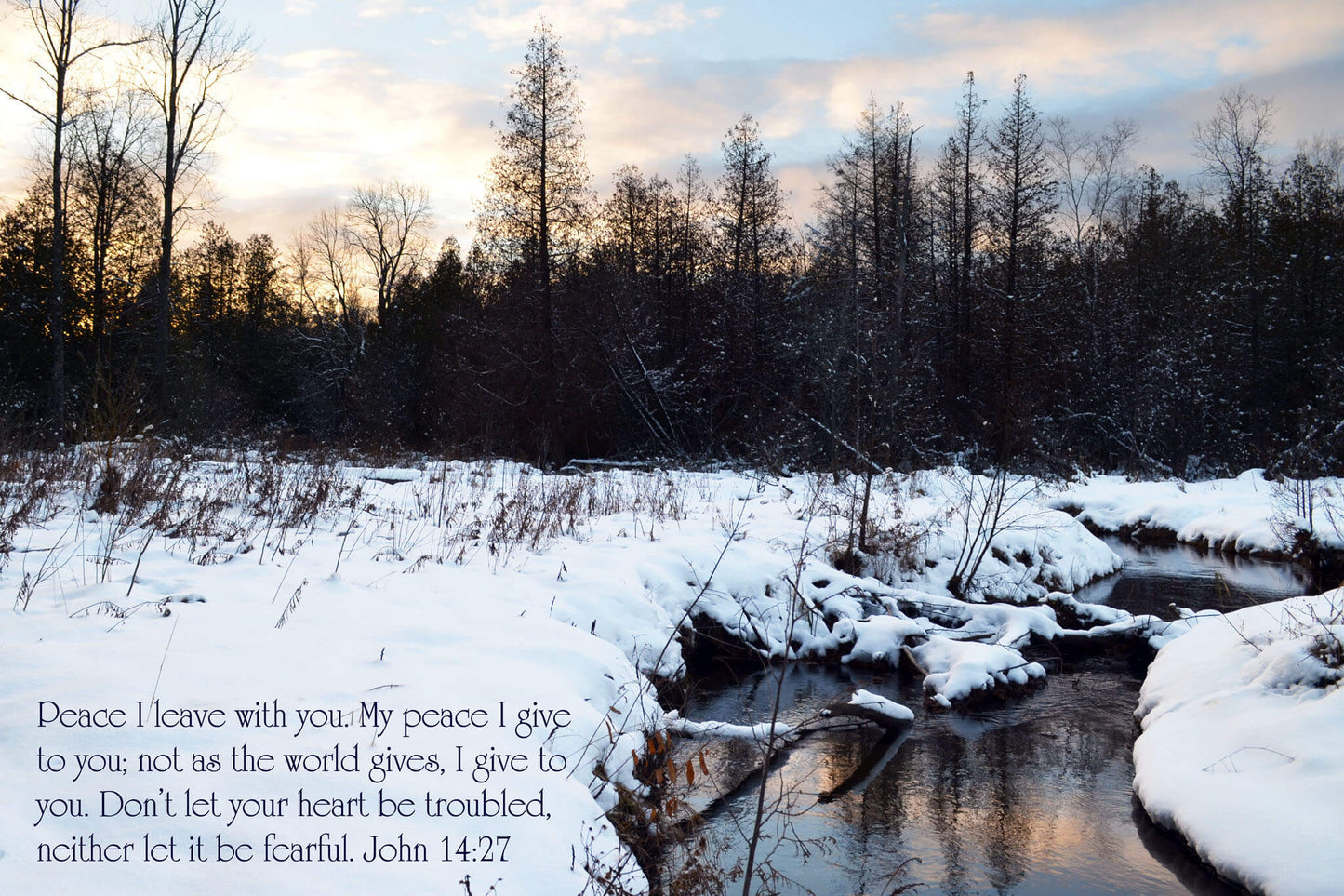 John 14:27 Woodsong