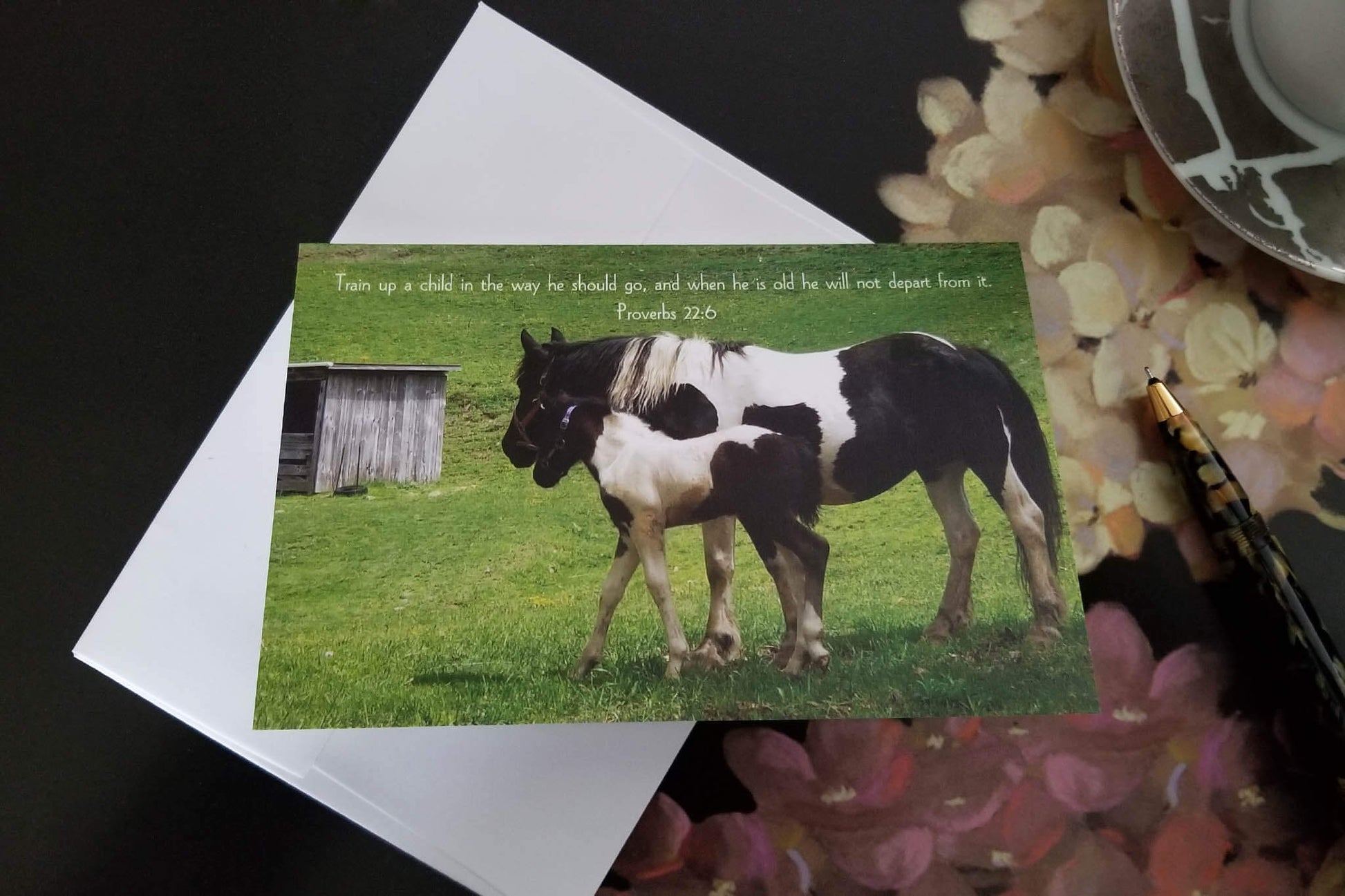 Proverbs 22:6 FW Foal and Mare Christian greeting card