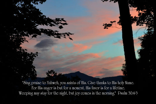 Psalm 30:4-5 Hawk's Nest Christian greeting card