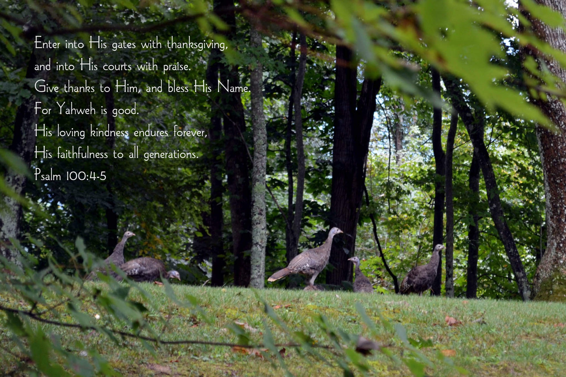 Psalm 100:4-5 Christian greeting card