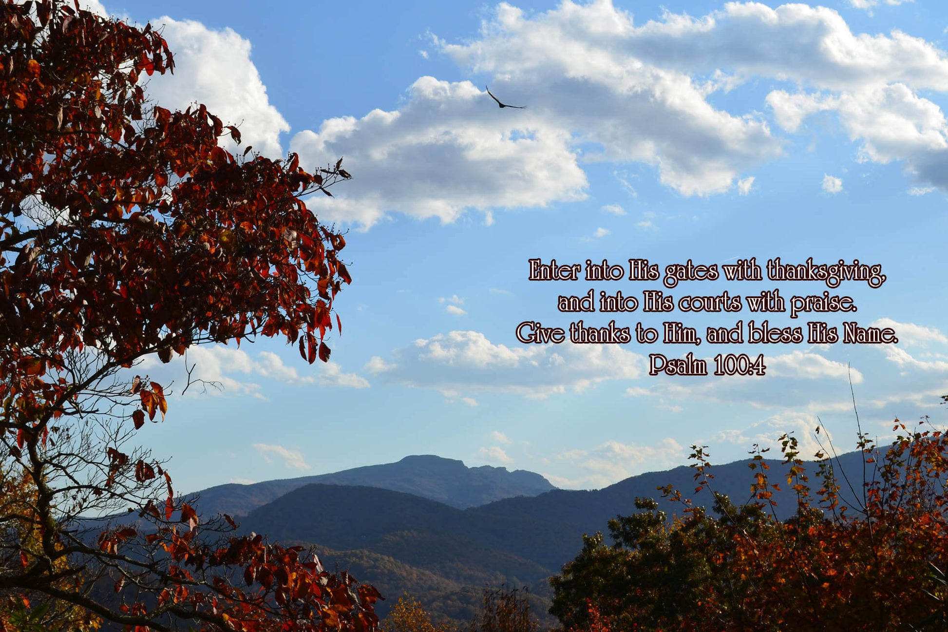 Psalm 100:4 Soaring Over Grandfather Christian greeting card