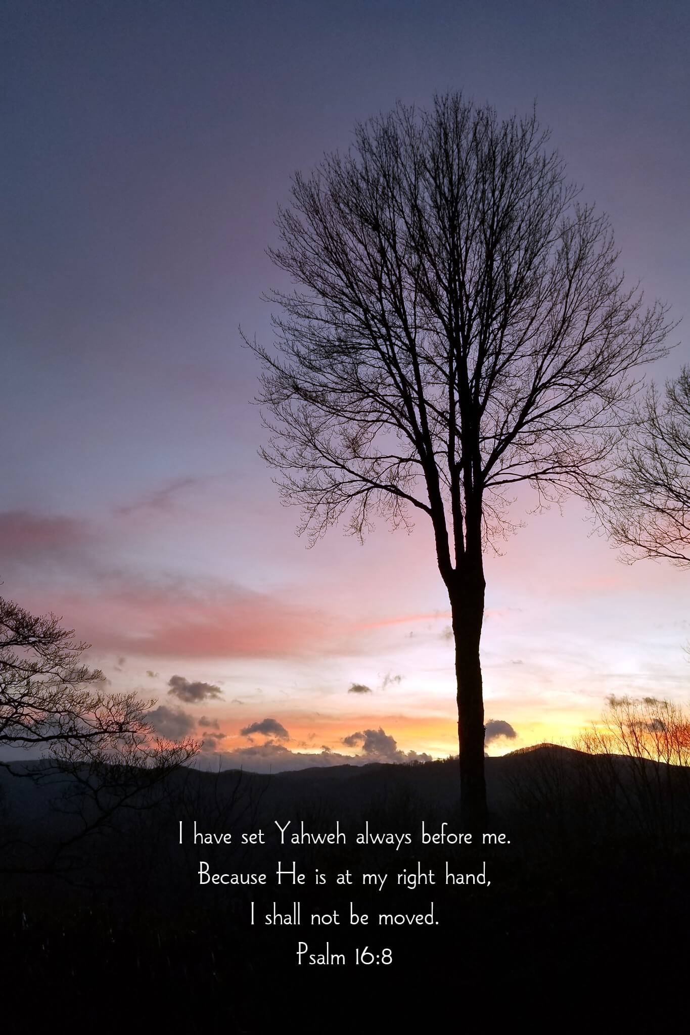 Psalm 16:8 Lone Tree at Sunset Christian greeting card