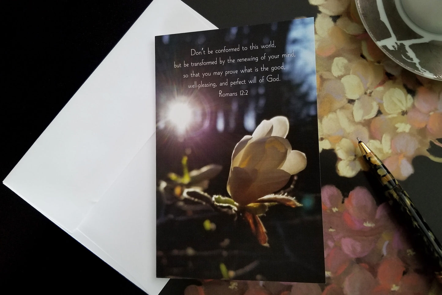Romans 12:2 Magnolia Bud at Sunset FW Christian greeting card