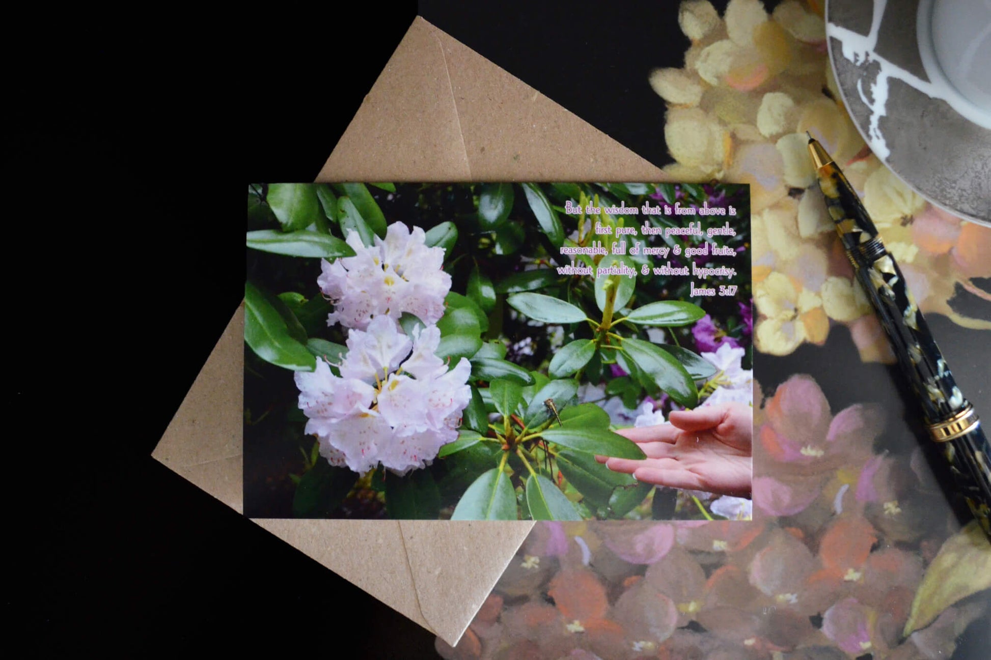 James 3 Dragonfly eco Christian greeting card