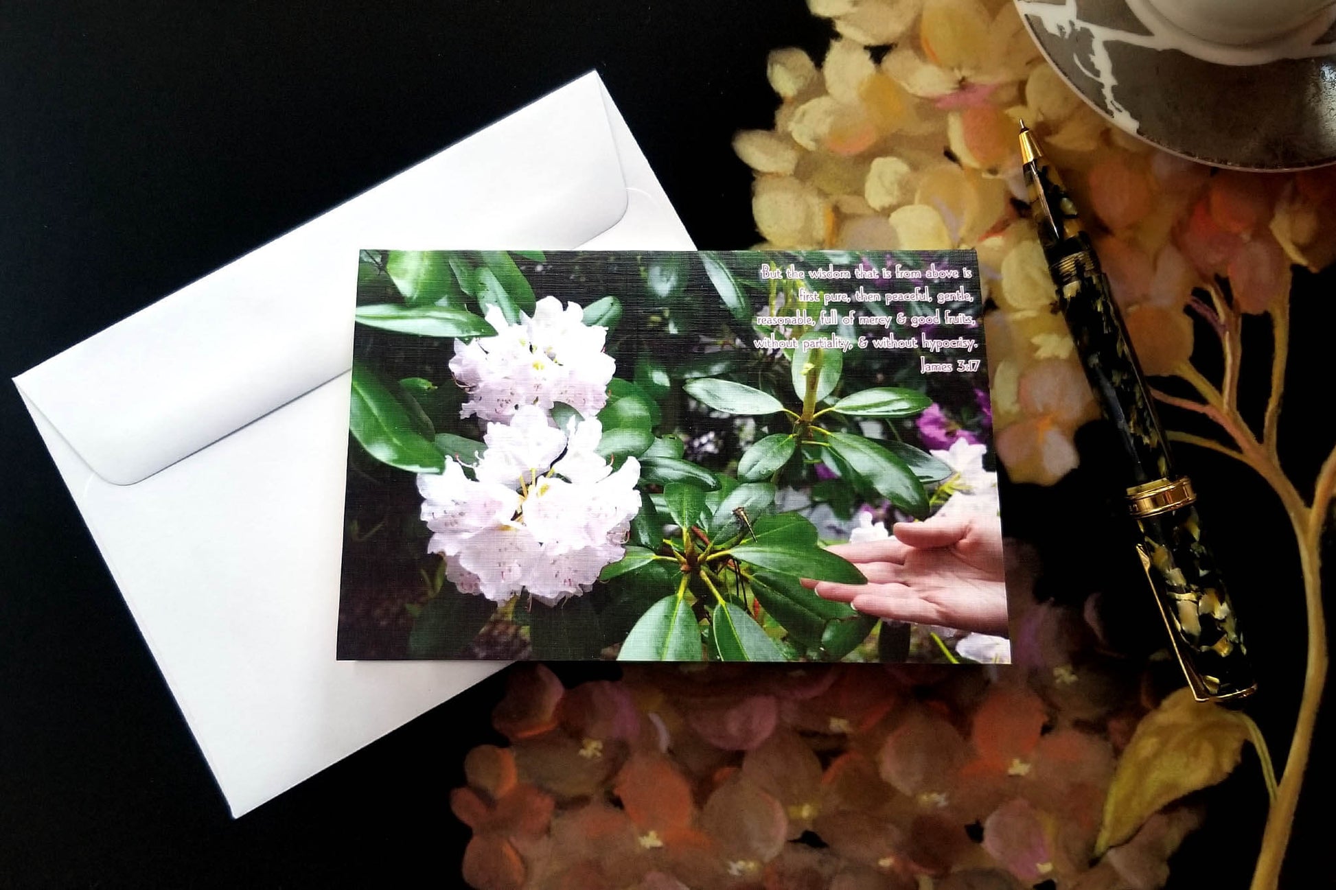 James 3 Dragonfly Christian greeting card