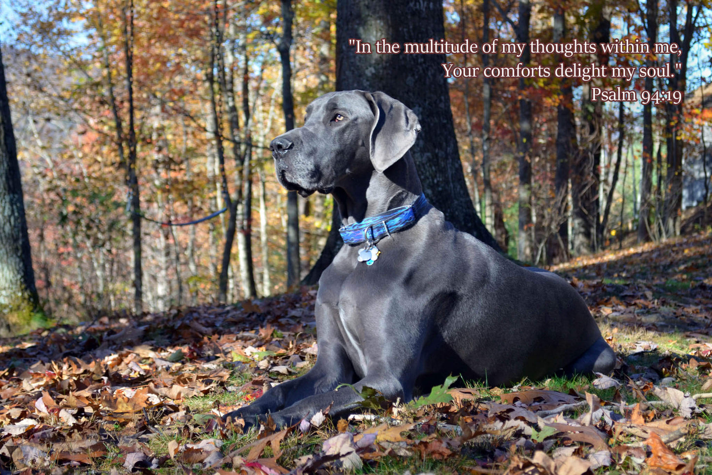 Psalm 94:19 Puddles in Fall Leaves Christian greeting card