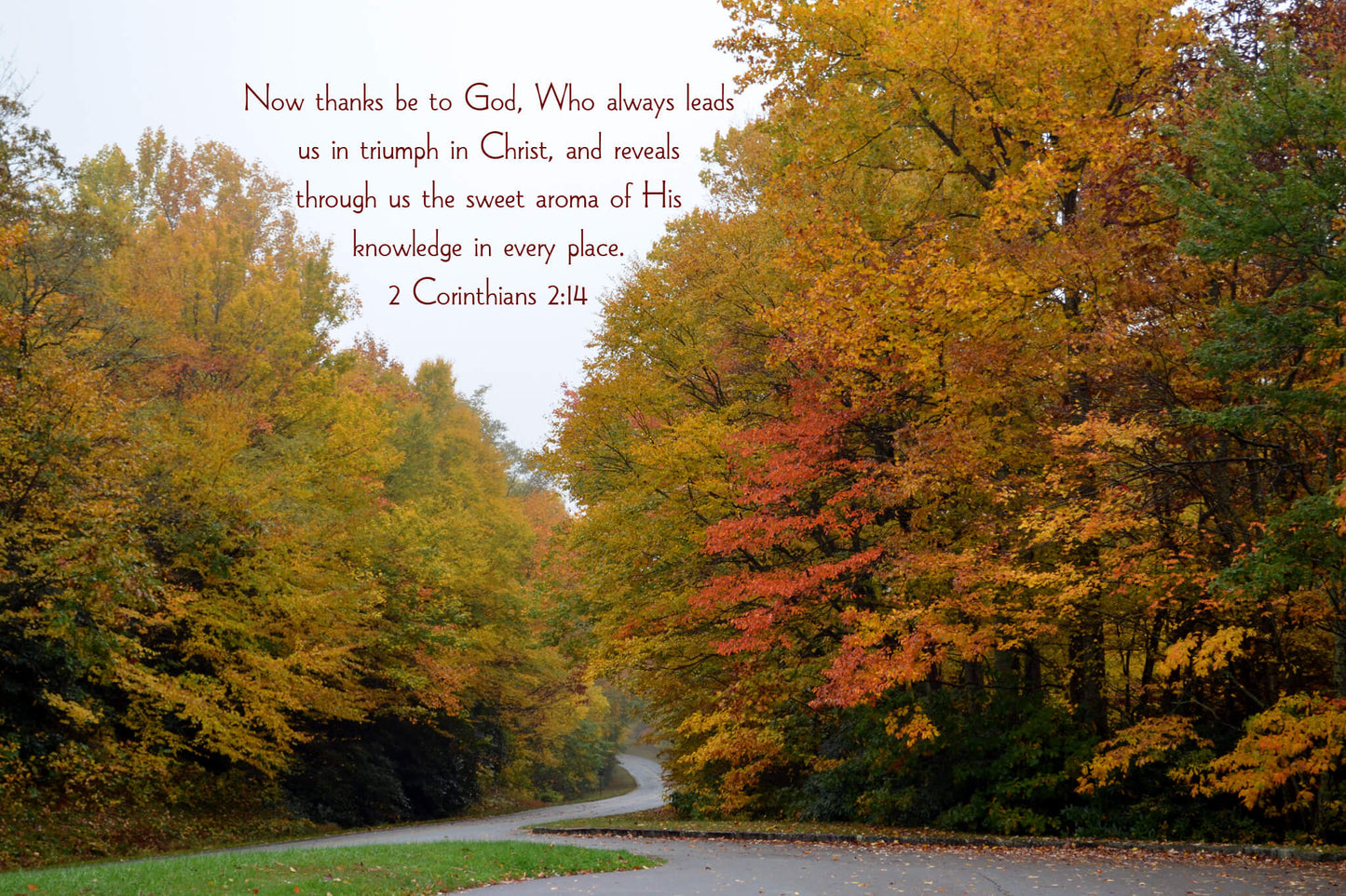 2 Corinthians 2:14 Christian greeting card
