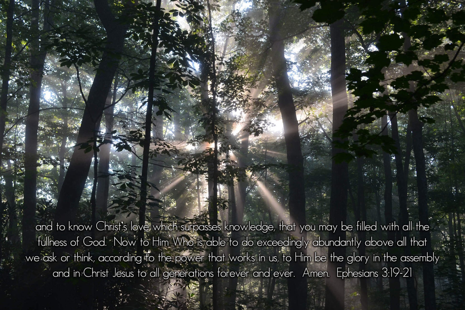 Ephesians 3:19-21 Sunbeam through Forest Christian greeting card