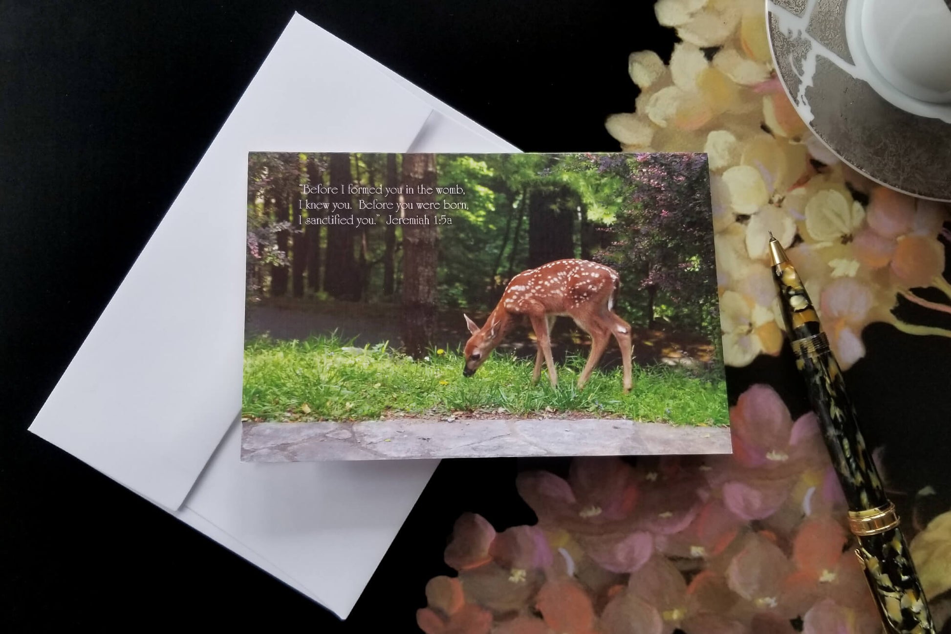 Jeremiah 1:5a Grazing Spotted Fawn FW Christian greeting card