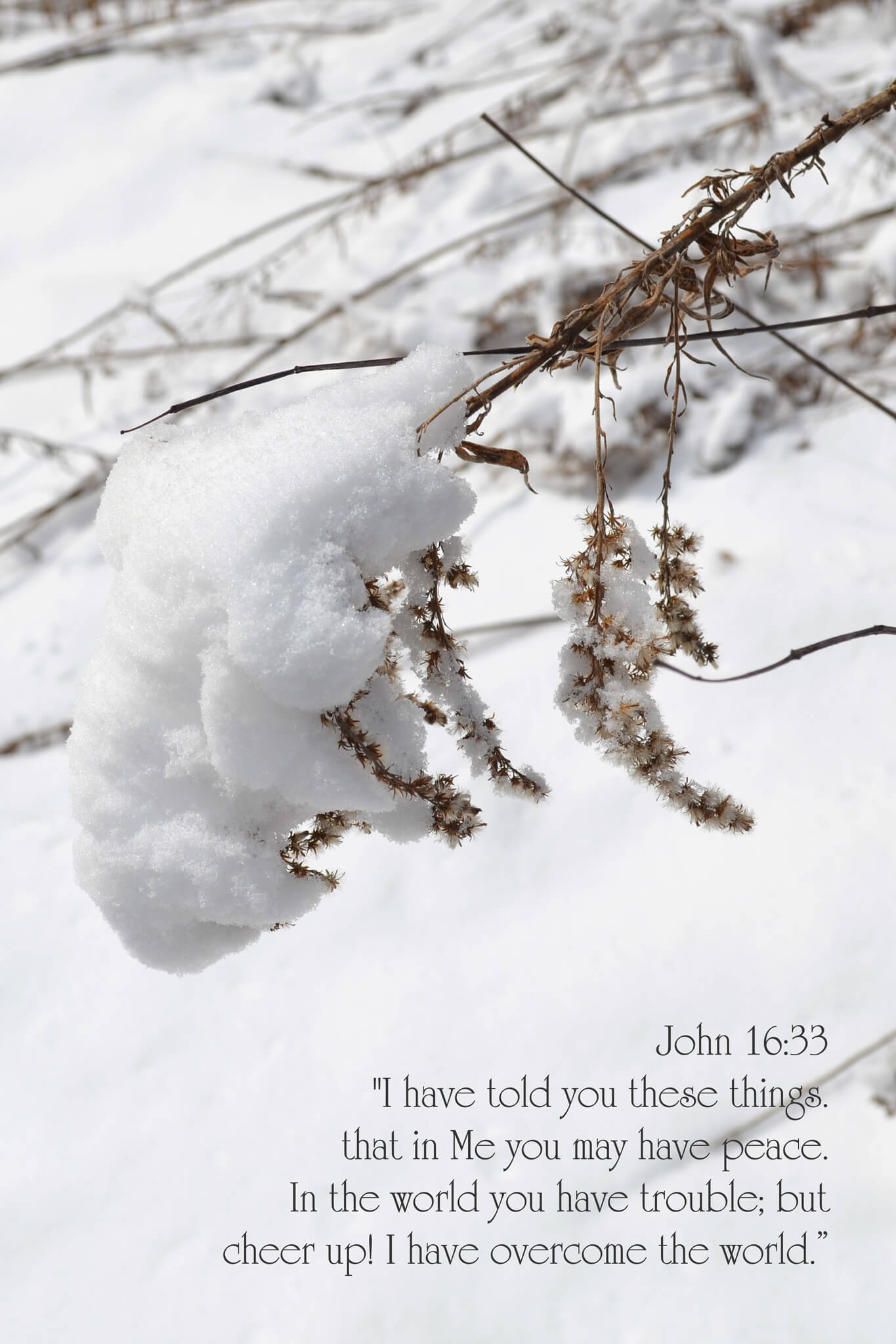 John 16:33 Snowy Field