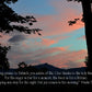 Psalm 30:4-5 Hawk's Nest Christian greeting card