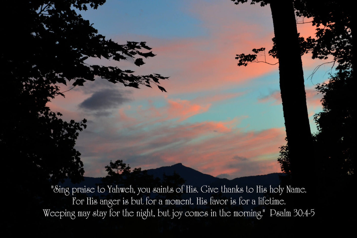 Psalm 30:4-5 Hawk's Nest Christian greeting card