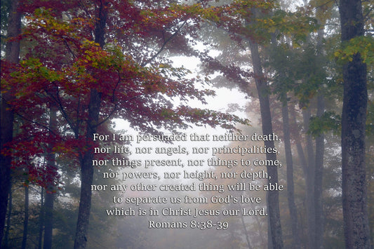 Romans 8:38-39 Foggy Fall Morning Christian greeting card