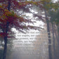 Romans 8:38-39 Foggy Fall