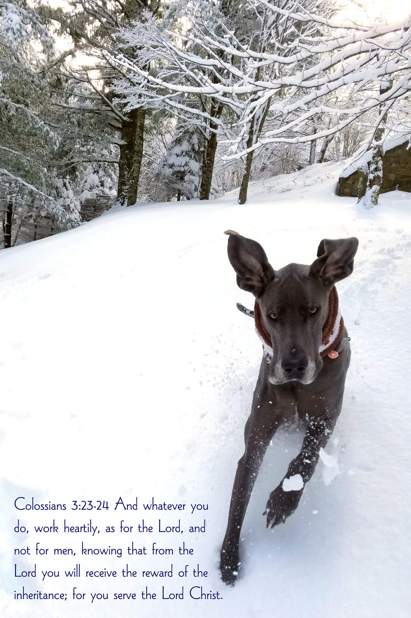 Colossians 3:23-24 with Puddles running down a snowy hill on a sunny day