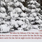Galatians 4:4-5 Snowy Pines Christian Christmas greeting card