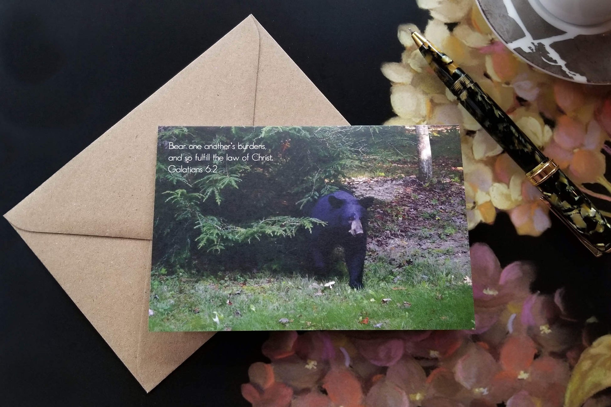 Galatians 6 Black Bear Eco Christian greeting card