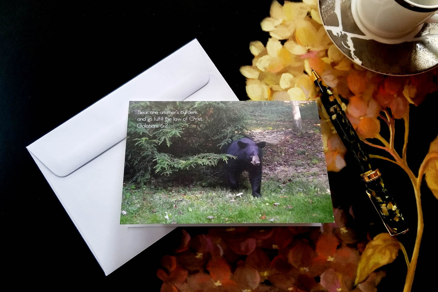 Galatians 6 Black Bear FW Christian greeting card