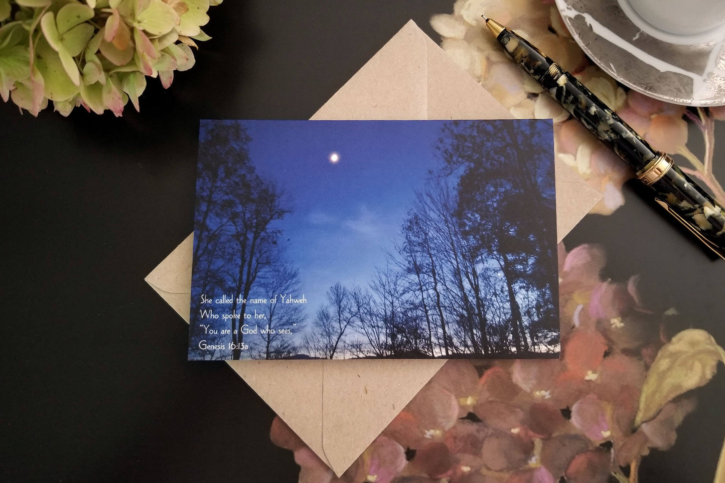 Genesis 16 moonlit landscape Eco Christian greeting card