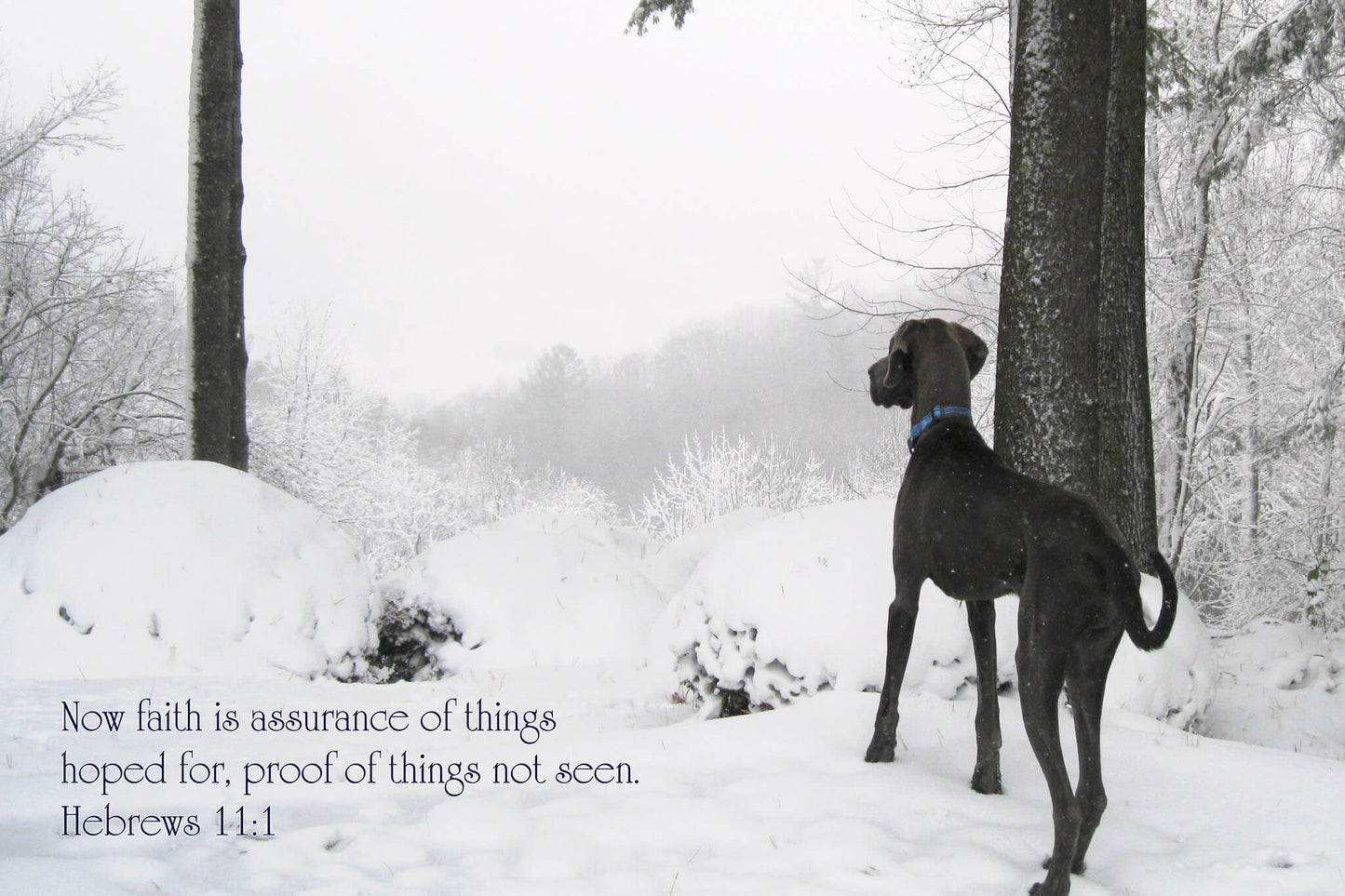 Hebrews 11:1 Snowy Outlook with Puddles Christian greeting card