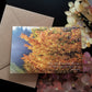 Isaiah 60 Sunrise Illuminating Golden Leaves eco Christian greeting card