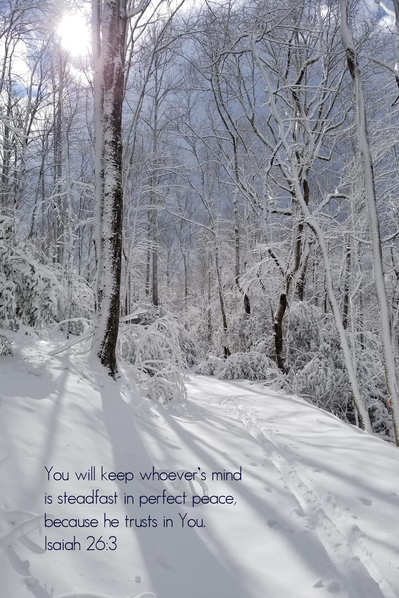 Isaiah 26:3 Cross Country Ski Tracks Christian greeting card