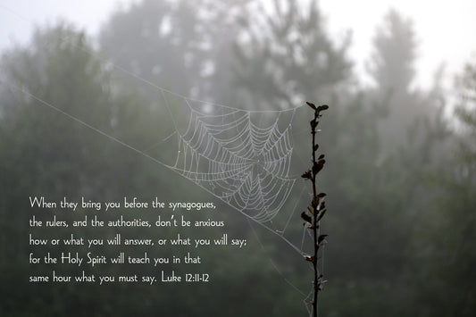 Luke 12:11-12 Spider Web Christian greeting card