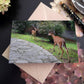 Matthew 11 buck and fawn compiled Eco Christian greeting card