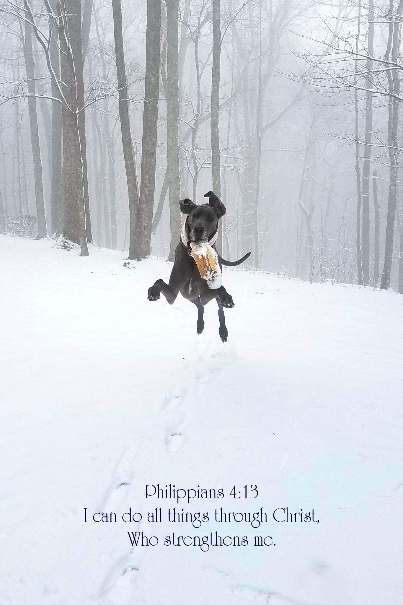 Philippians 4:13 Air Puddles Christian greeting card