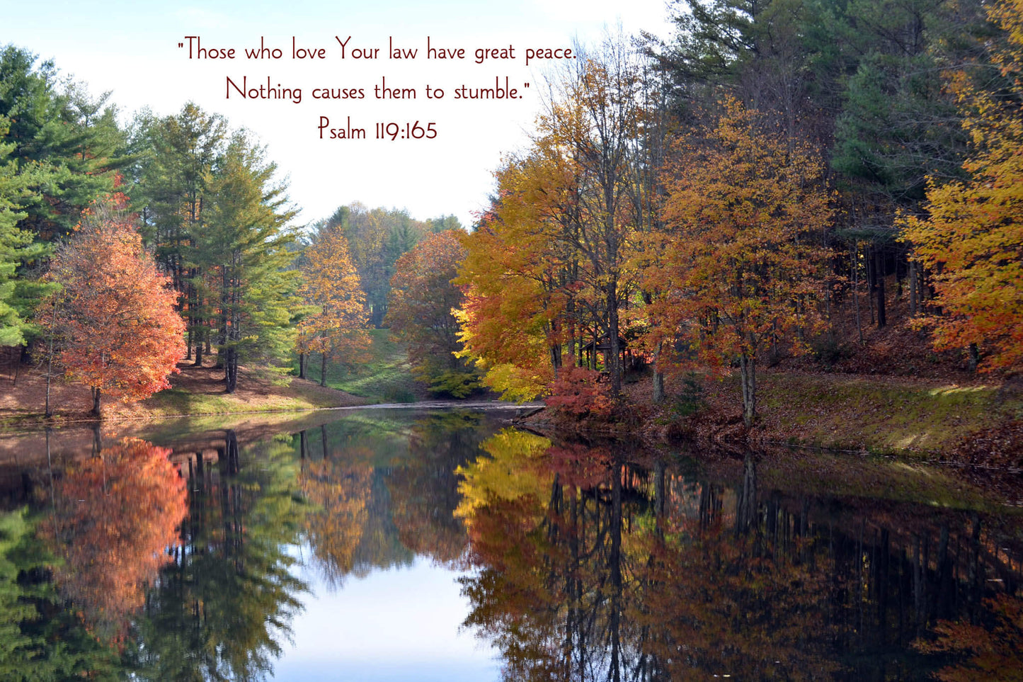 Psalm 119:165 Fall Reflections Christian greeting card