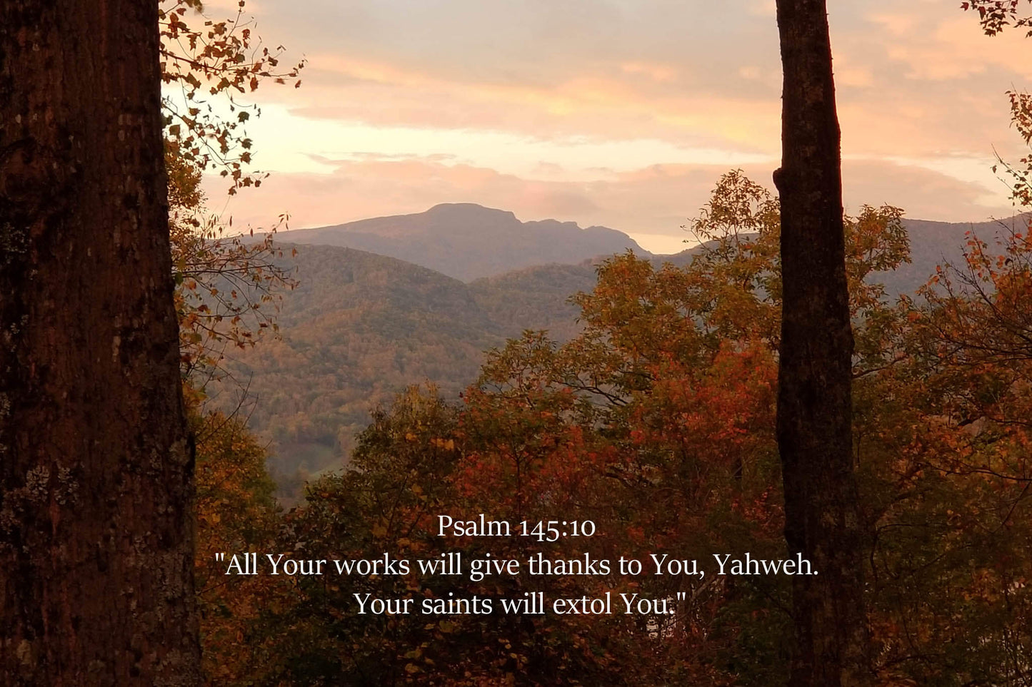 Psalm 145 Grandfather Fall Sunset Christian greeting card